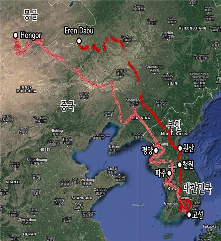 2-3 다시 만나자 고향 몽골에 도착한 고성 독수리-이동경로(위성).jpg