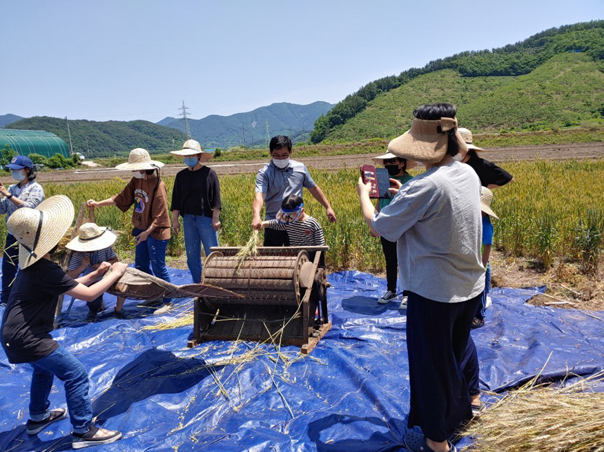 진주‘밀알영농조합법인’으뜸두레,‘하모예’예비으뜸두레 선정!-밀알영농조합 밀축제.jpg