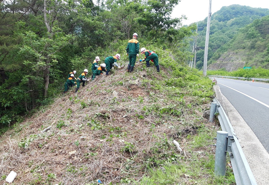 220308 합천군 사진자료(공공산림가꾸기사업시행).jpg