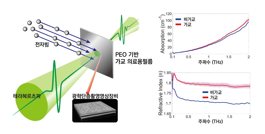 5.18(김해의생명산업진흥원 공동연구진, 테라헤르츠파 활용 고분자 가교 모니터링 기술 최초 개발)2.jpg