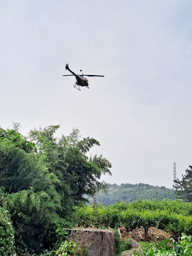 0619 함안군, 무인헬기 항공방제 시행1.jpg