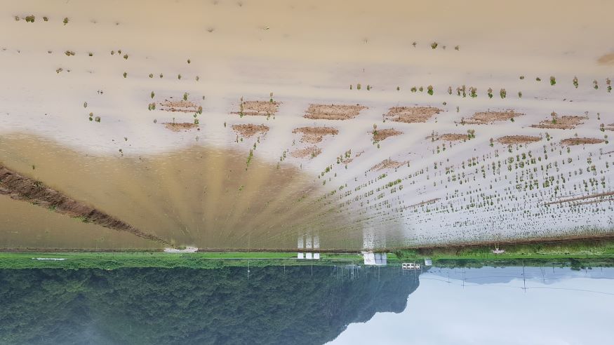 230630 합천군 보도자료(합천군, 여름철 집중호우대비 농작물 및 농업시설물 관리요령 안내) (1).jpg