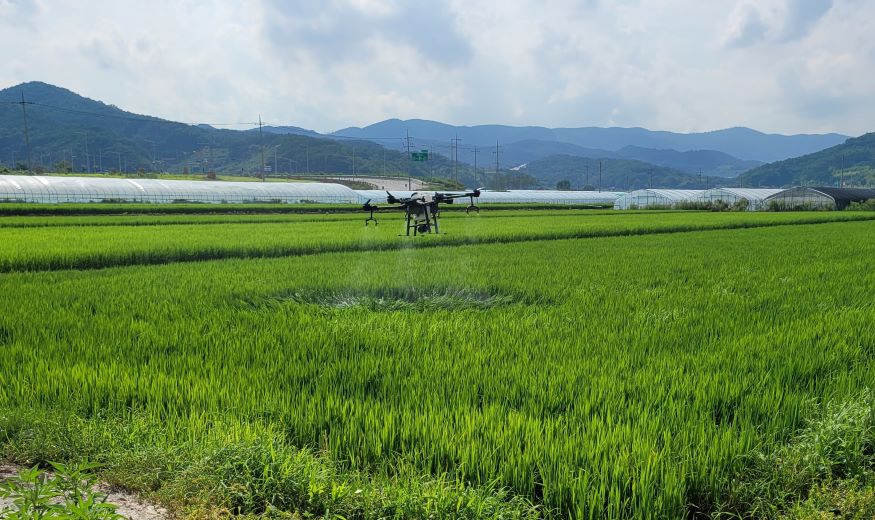 벼 병해충 방제 확대.jpg