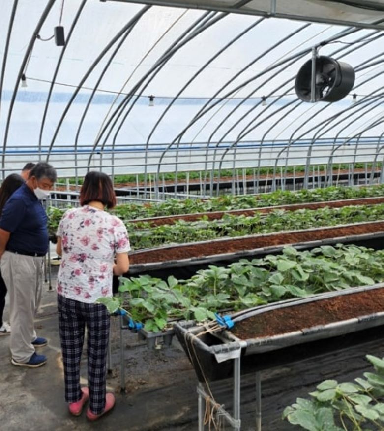 밀양농업119 현장기술지원팀 운영.jpg