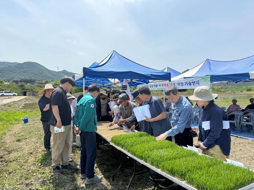 함안군, 농진청과 벼 무복토 육묘 현장 연시회 열어.jpg