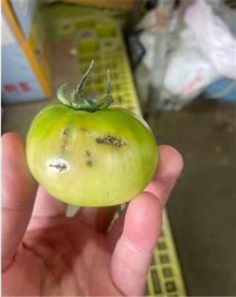 20240704145140_oeriwpuo (1).jpg