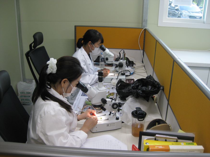 합천군, 딸기 꽃눈분화 검경 서비스 실시.jpg