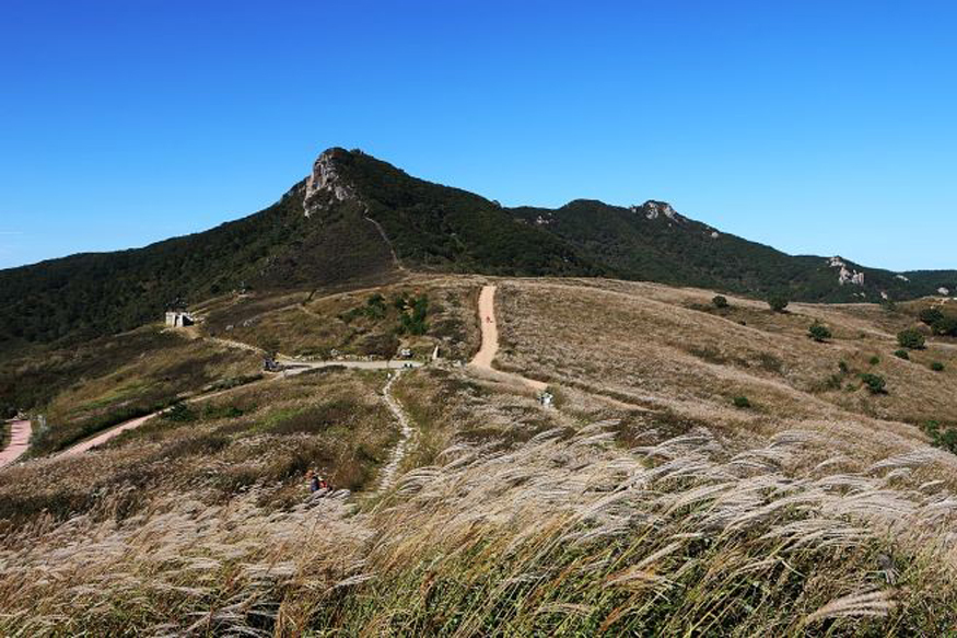 황매산 억새 사진.jpg