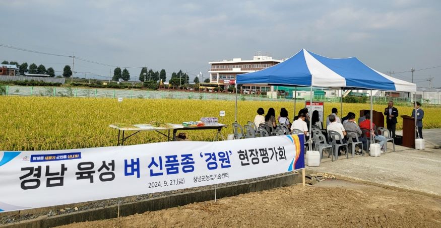 경남 육성 벼 신품종 경원 현장평가회.jpg