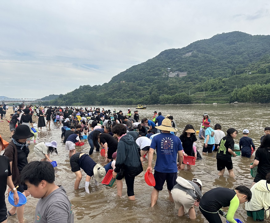 섬진강문화재첩축제 현장(황금재첩 잡기).jpg