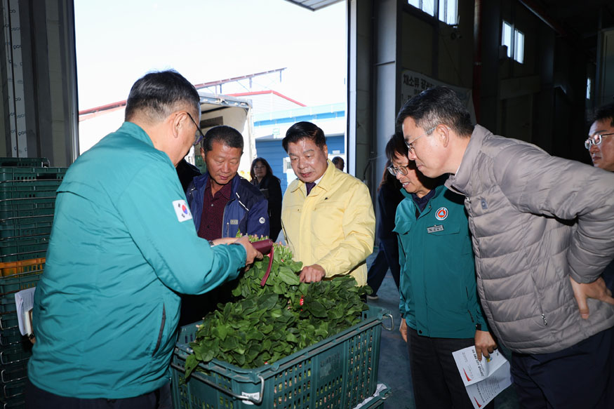 고성군수, 겨울철 효자품목 ‘시금치’ 경매 현장 방문.jpg