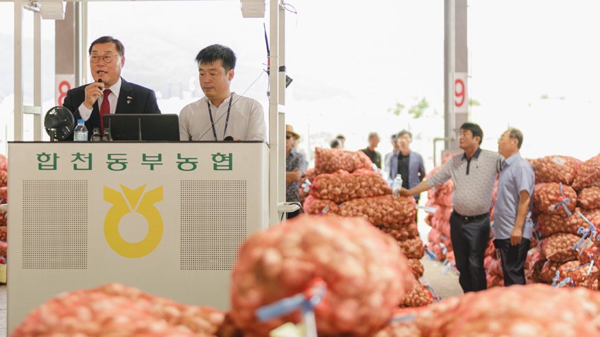 합천군 산지공판장 경매 수수료 지원으로 농가 부담 완화)- 합천동부농협건마늘 초매식.jpg
