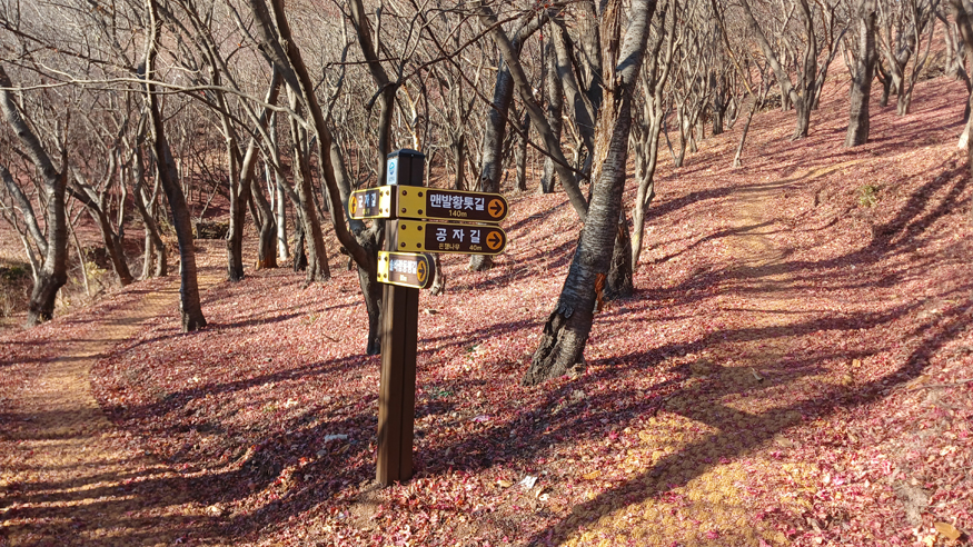 사천시, 향교숲길 조성 완료.jpg