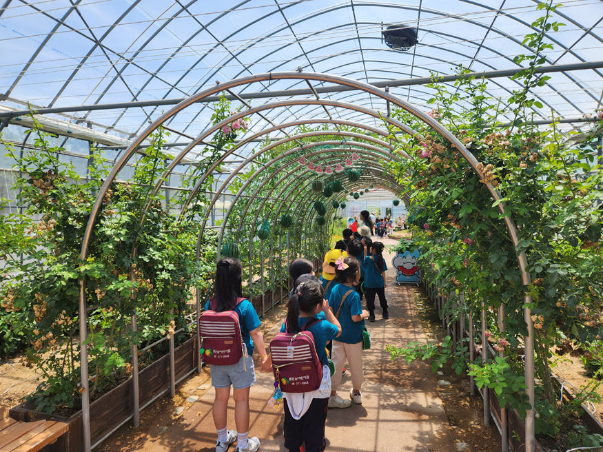 함안수박전시관, 어린이집 대상 체험 프로그램 성황리에 운영_함안수박전시관.jpeg