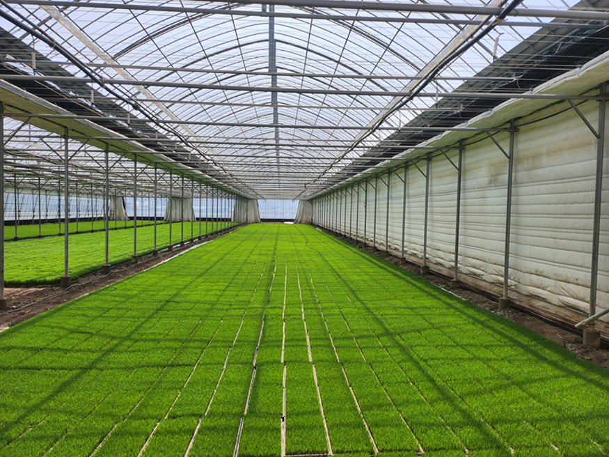 김해시, 정부 벼 보급종 종자 구입비 일부 지원.jpg