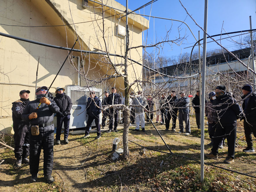 합천군, 사과 품목별 농업인연구회 대상 동계 전정 교육 실시.jpg