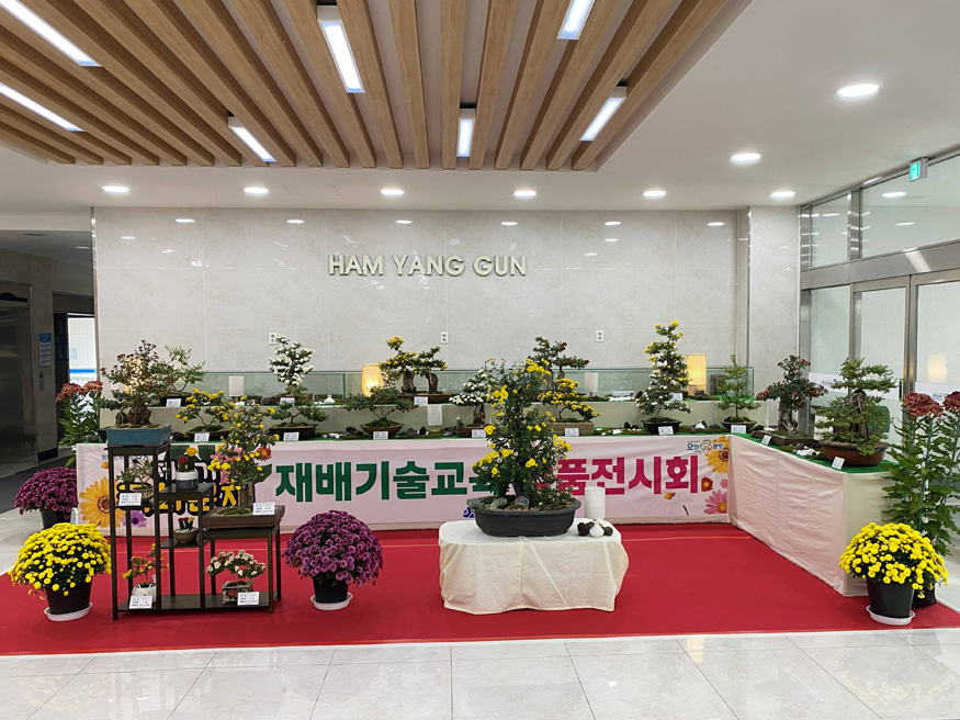 국화분재 재배기술교육.jpg