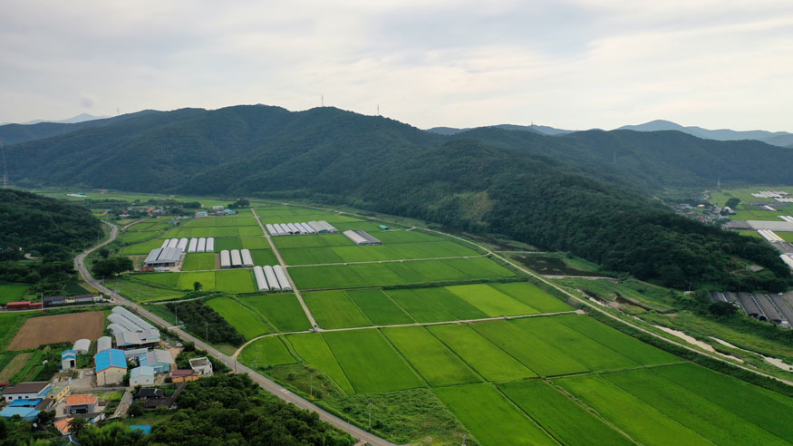 친환경농업의 메카, 고성군에서 희망을 찾다(영현면 뜰 사진).jpeg
