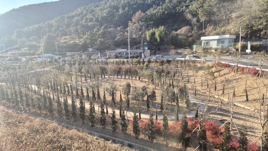 고성군, 유휴부지를 녹색 쉼터로 탈바꿈, 폭염·미세먼지 걱정 없는 군 만든다 (25년준공-회화면국도변).jpg