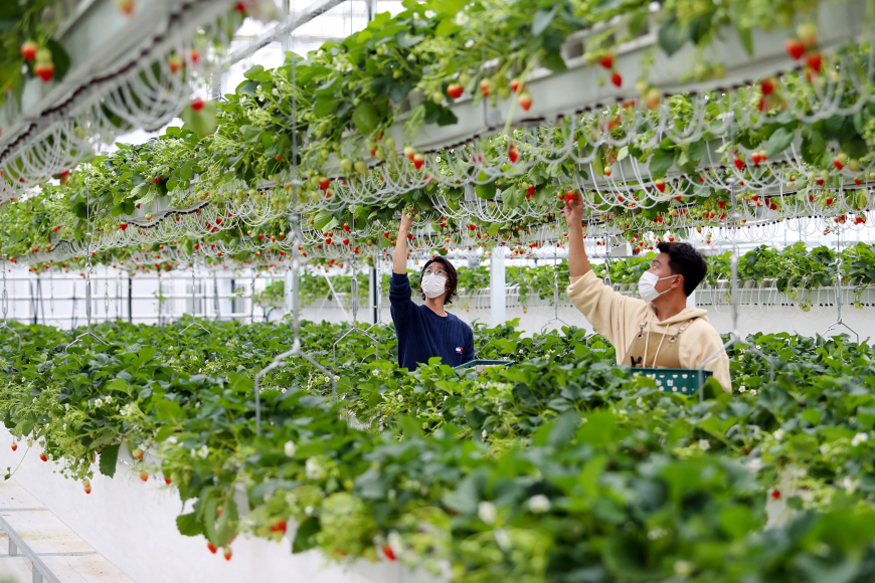 밀양시, 2026년 달라지는 시책 및 제도(지역경제·농업).JPG