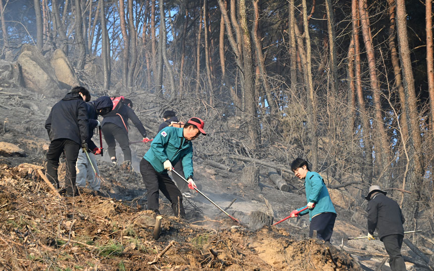 2025년 산불 진화 사진 2.jpg