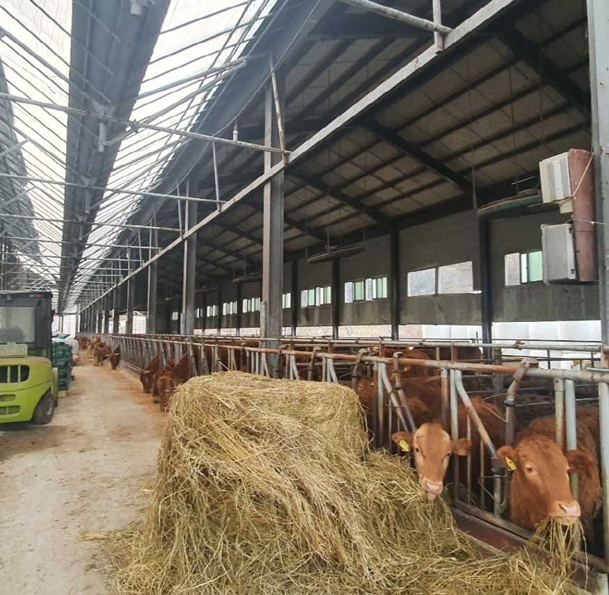 김해시, 2026년 축산농가 사료구매자금 98억원 융자 지원, (2026년 사료구매자금 98억 원 융자 지원.jpg