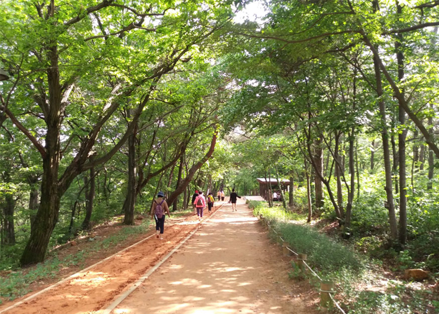 김해시 분성산 생태숲 황톳길 개장.jpg