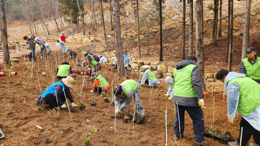 남해군, 식목일 맞아 자연휴양림 나무심기 행사.jpg