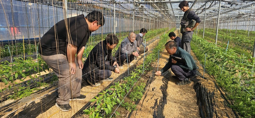 밀양시, ‘농업기술명장’ 고추 재배 교육 본격 운영.jpg