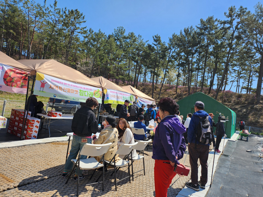 몽골독수리 떠난 길따라 꽃이 피고… 고성군, 봄 관광 시동.jpg