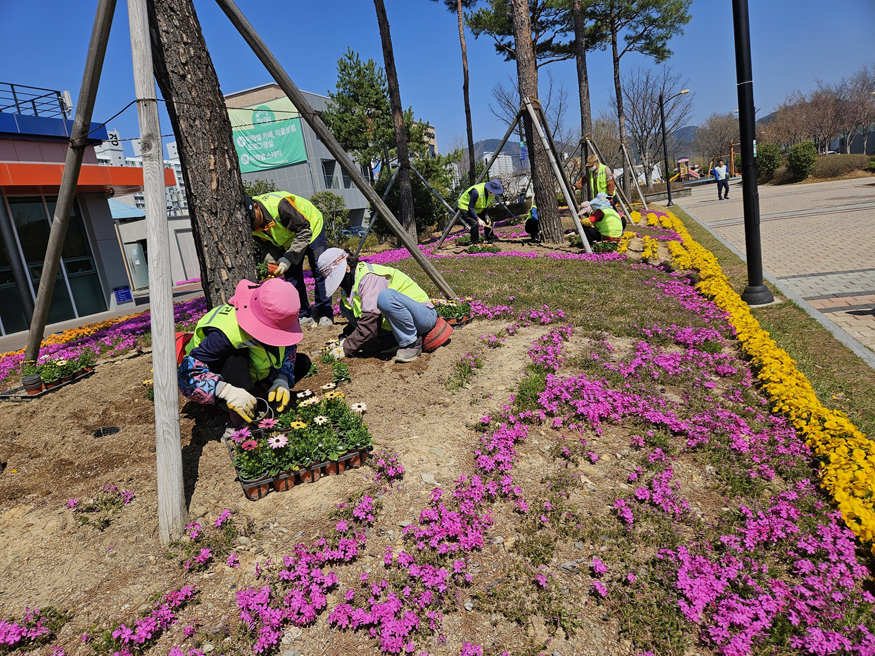 함안군 공원관리사업소, 다채로운 봄꽃 식재로 쾌적한 공원환경 조성_공원관리사업소 봄꽃 식재(아라길).jpg