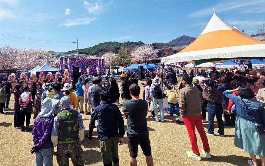 제24회 함양 백운산벚꽃축제 성료.jpg