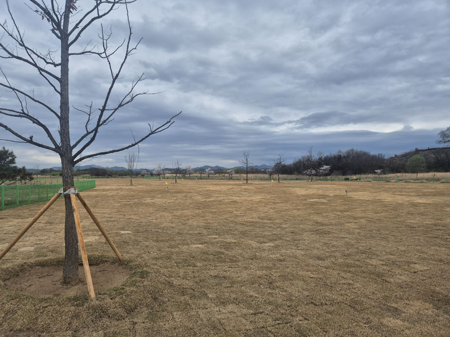 창원특례시, 대산 파크골프장 시설개선공사 완료(시설공사2과).jpg