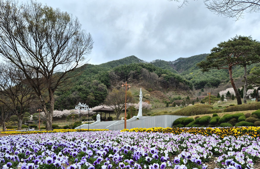 거창군, 거창사건추모공원 봄꽃으로 물들다.jpg